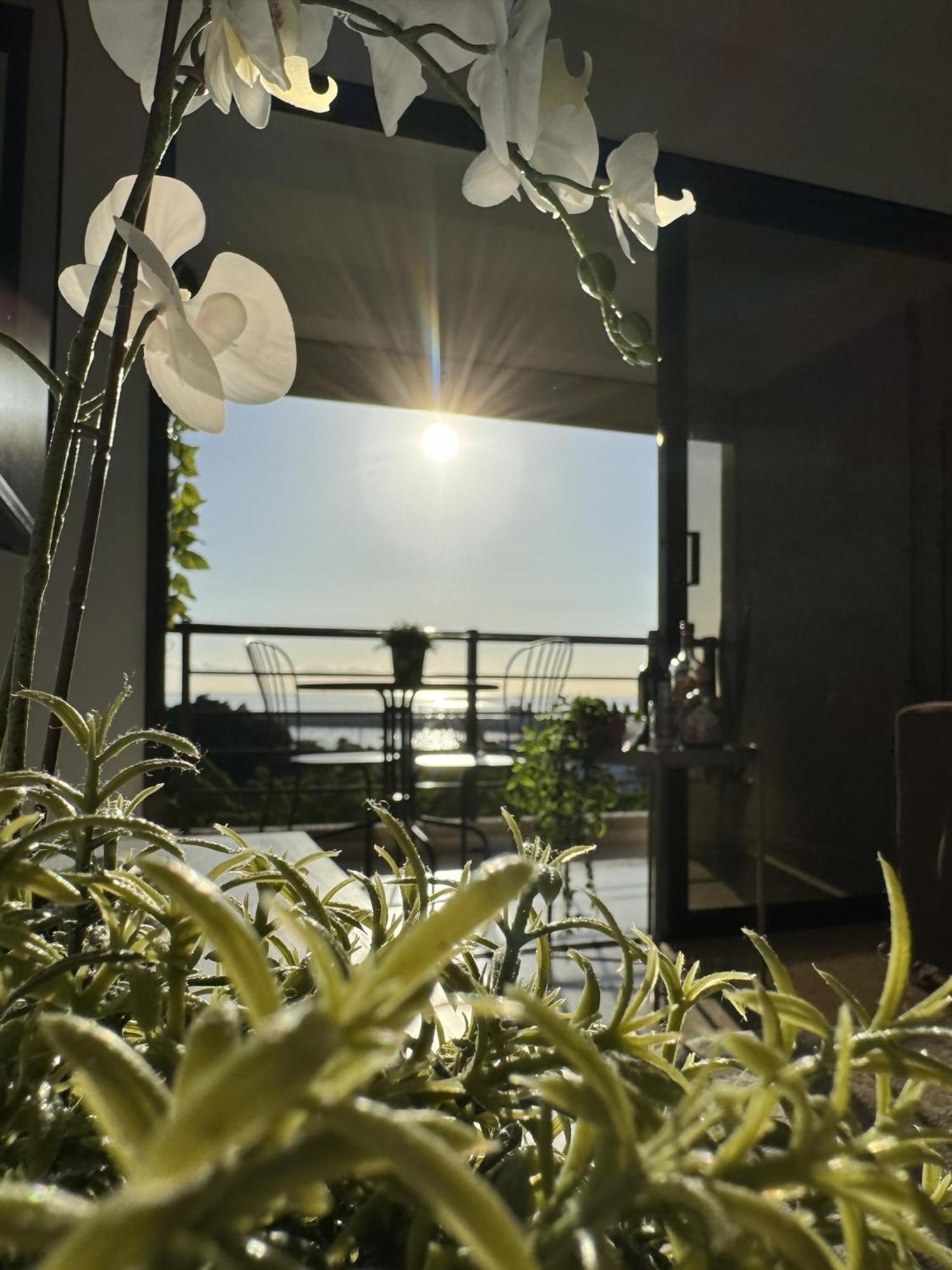 Sovhispan Sc Tenerife Piscina Santa Cruz de Tenerife Ngoại thất bức ảnh